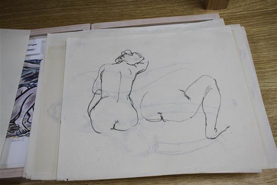 Peter Collins, twelve pen and ink on paper, Studies of female nudes, largest 35 x 25cm, unframed